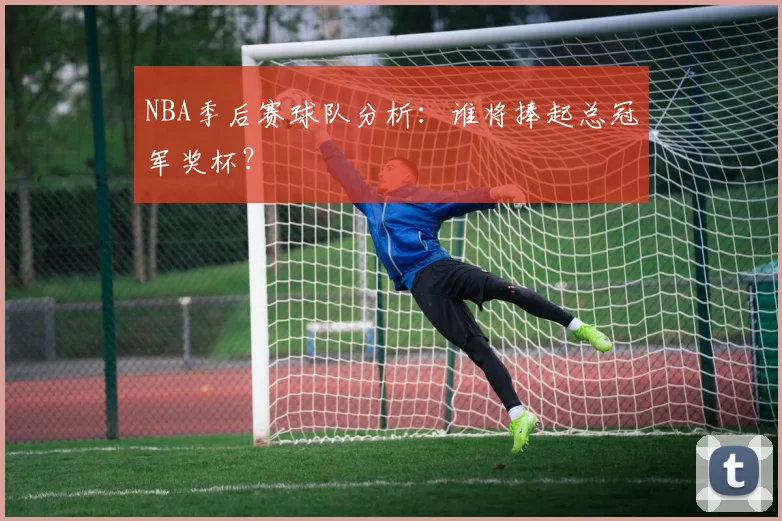 NBA季后赛球队分析:谁将捧起总冠军奖杯?