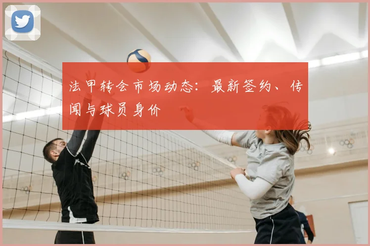 法甲转会市场动态:最新签约、传闻与球员身价