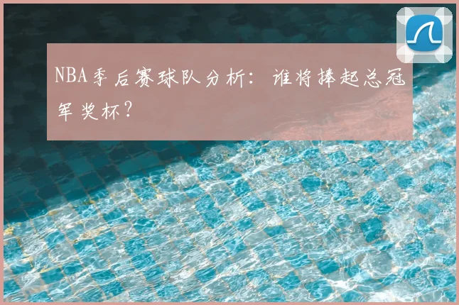 NBA季后赛球队分析:谁将捧起总冠军奖杯?